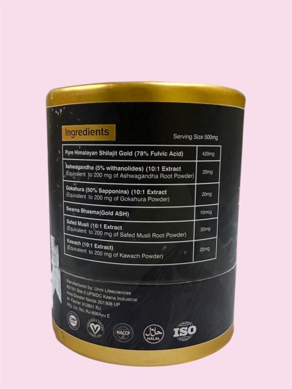 Kashmiri Ladakh Gold Shilajit 20Gram - Image 2