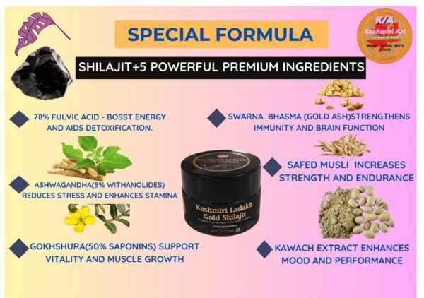 Kashmiri Ladakh Gold Shilajit 20Gram - Image 3