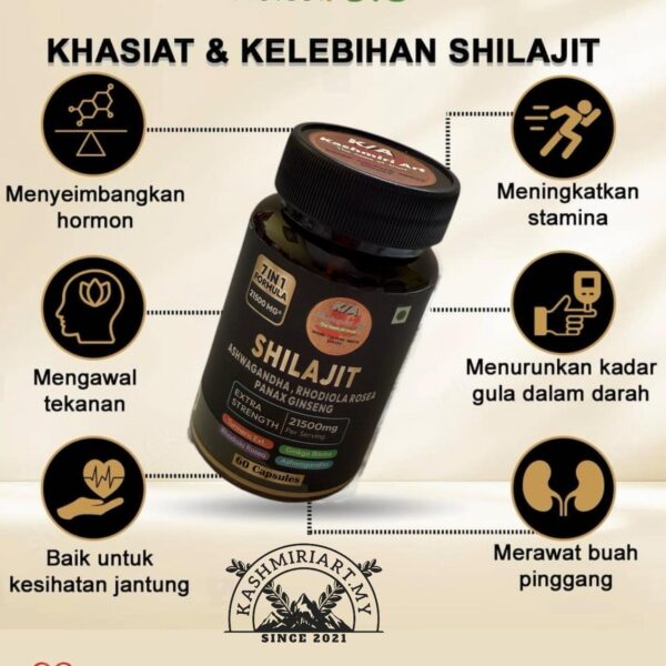shilajit 7 in 1 formula 21500mg /ashwagandha /rhodiola roseaa /panax ginseng - Image 4
